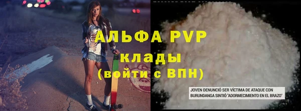 гашик Белокуриха