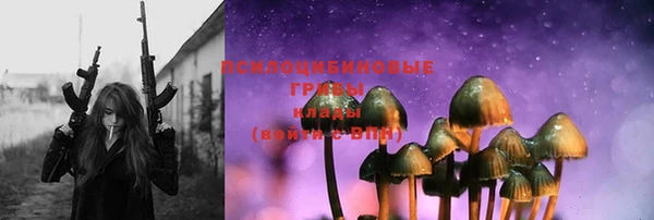 бошки Лабытнанги