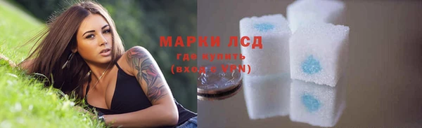 гашик Белокуриха