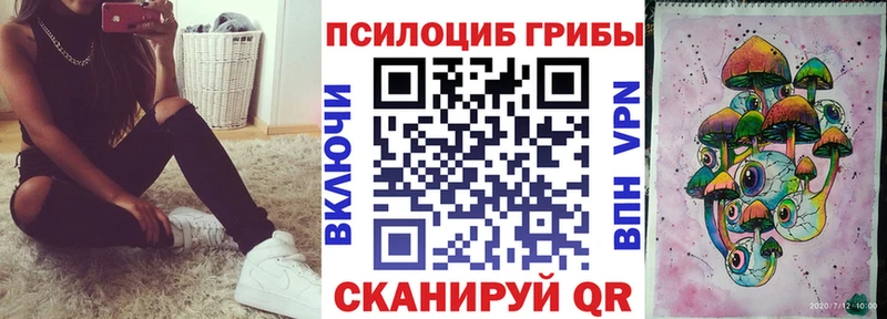 где продают наркотики  Юрга  Псилоцибиновые грибы мицелий 